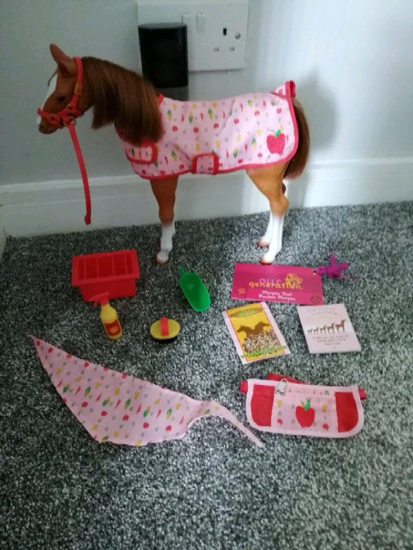 our generation morgan foal